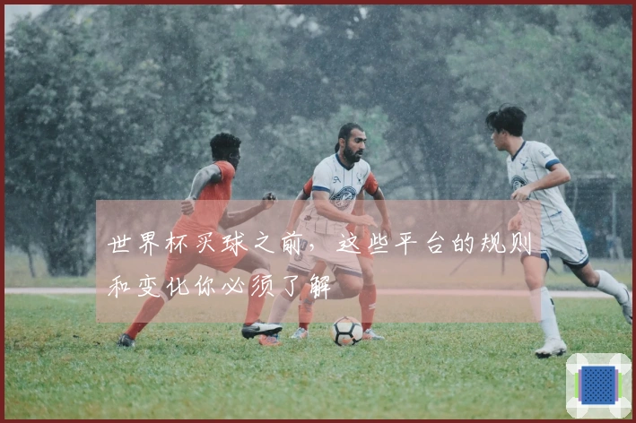世界杯买球之前，这些平台的规则和变化你必须了解