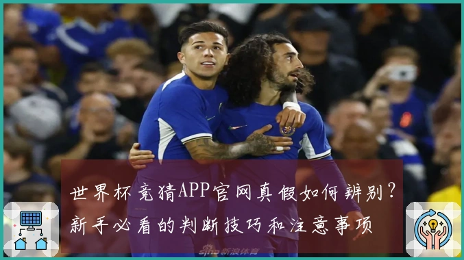 世界杯竞猜APP官网真假如何辨别？新手必看的判断技巧和注意事项