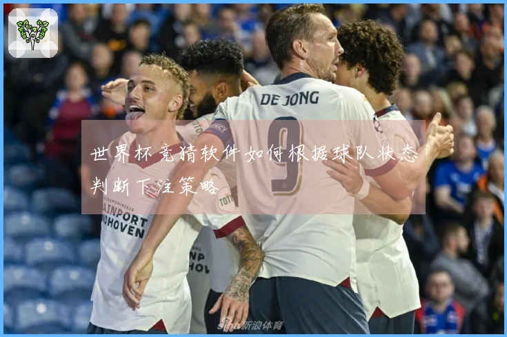 世界杯竞猜软件如何根据球队状态判断下注策略