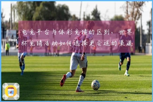 电竞平台与体彩竞猜的区别,世界杯竞猜活动如何选择更合适的渠道?