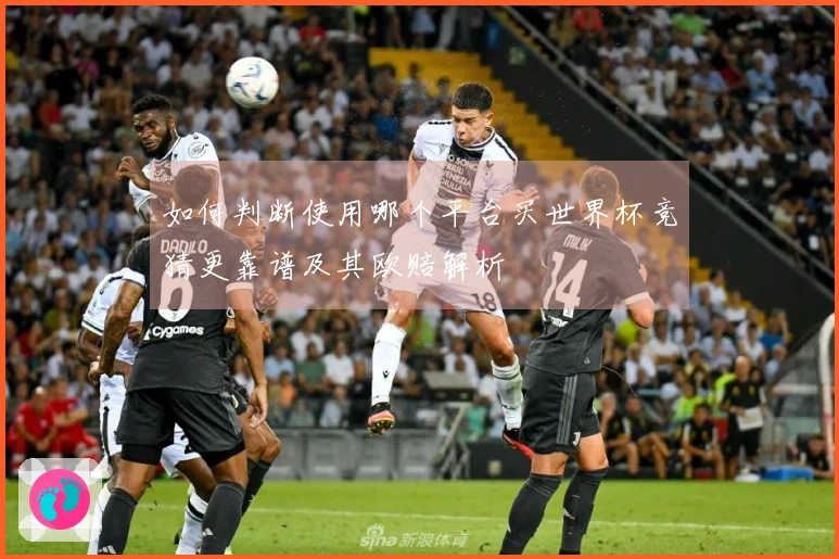 如何判断使用哪个平台买世界杯竞猜更靠谱及其欧赔解析